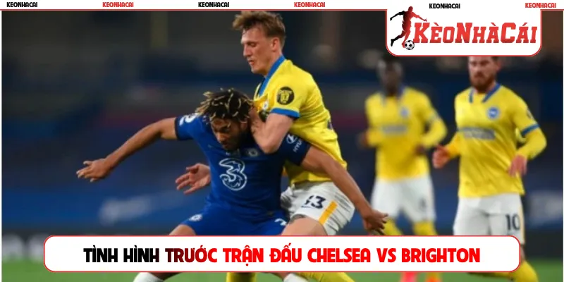 Tình hình trước trận đấu Chelsea vs Brighton